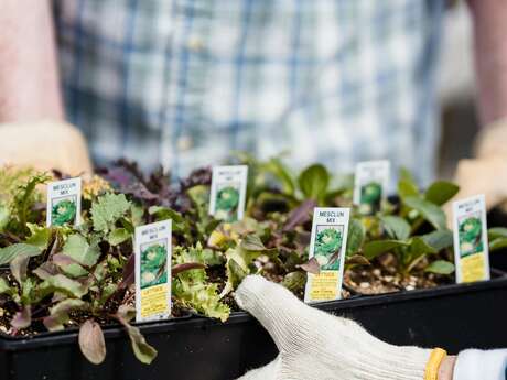 Foire aux plantes rares