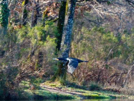 Exposition du Photo-club Montponnais