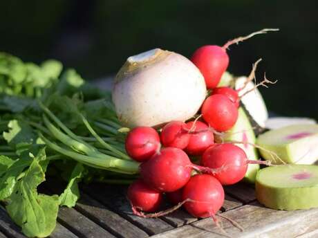 Les Potagers de la Lande