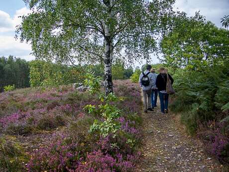 Boucle de Lo Sendero Dau Verdier