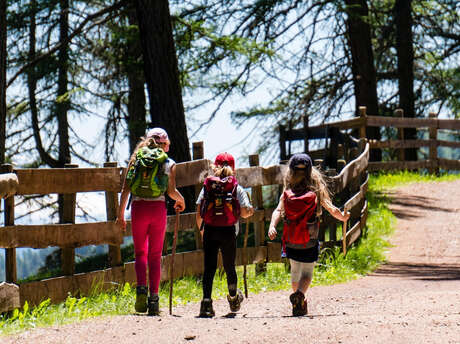 Les randonnées du Raisin d'Or