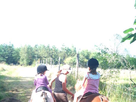 Demi-journée immersion avec un cheval