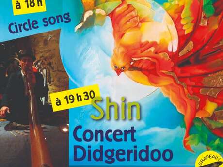 Repas/concert | Steve Lô