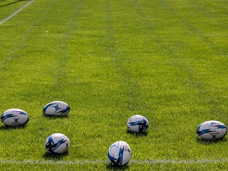 Tournoi des PIG'S NATION