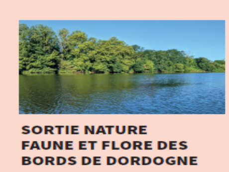 Sortie nature faune et flore des bords de Dordogne