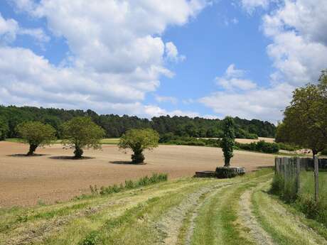 Balade des Trois Villages de St Germain