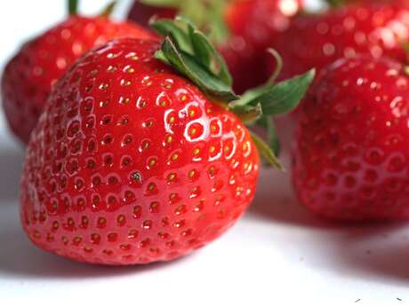 Marché du samedi à La Roche-Chalais