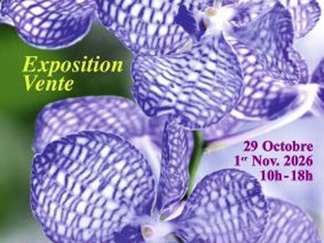 28e Magie des Orchidées au Château de Vascoeuil