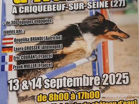 Concours national d'agility