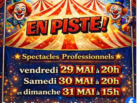Spectacles de cirque
