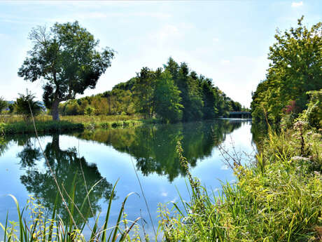 Visites guidées Découverte nature et cycle de l’eau