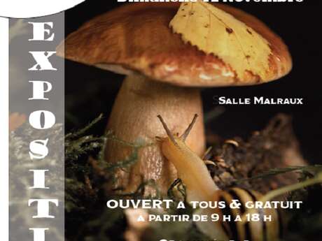 Exposition sur les champignons