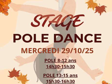Stage de pole dance enfant