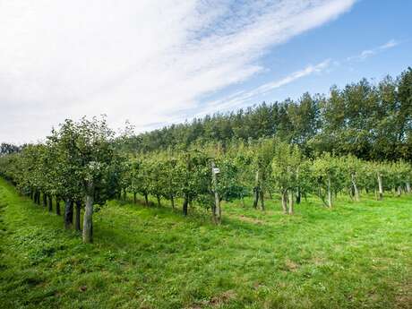 Ferme fruitière du Mesnil Jourdain