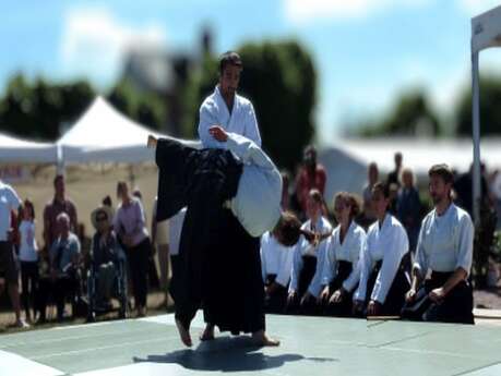 Soirée de découverte et d’initiation à l’Aikido dès 8 ans Soirée de découverte et d’initiation à l’Aikido dès 8 ans