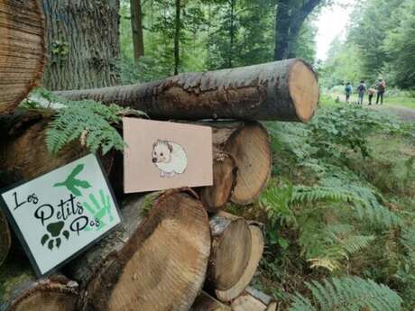 Rallye nature en foret de Bord-Louviers