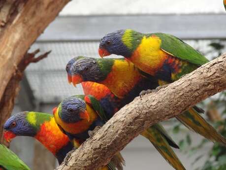 Les jardins animaliers Biotropica