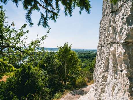 Espace Naturel Sensible : le sentier de la Biscutelle