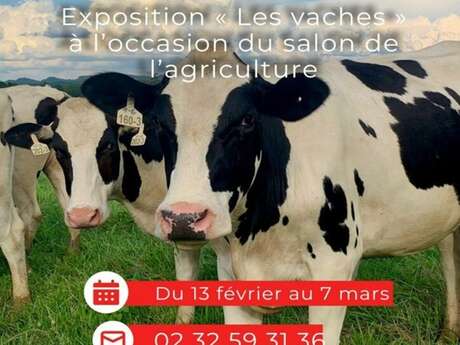 Atelier de création Epis de blé à tresser pour ados / adultes