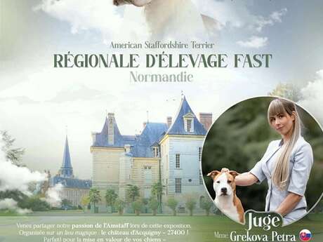 Exposition de chiens American Staffordshire Terrier Normandie