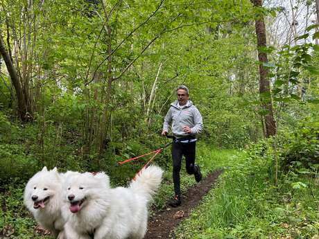Parcours trail : Rien dans le froc