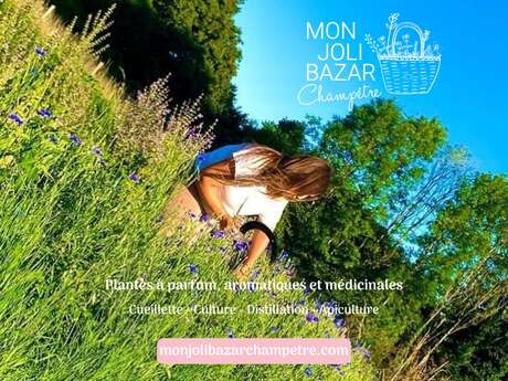 Mon Joli Bazar Champêtre - Paysanne herboriste, plantes à parfum, aromatiques et médicinales