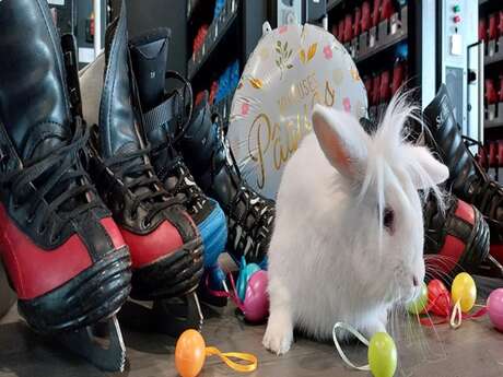 Soirée festive Spring on Ice