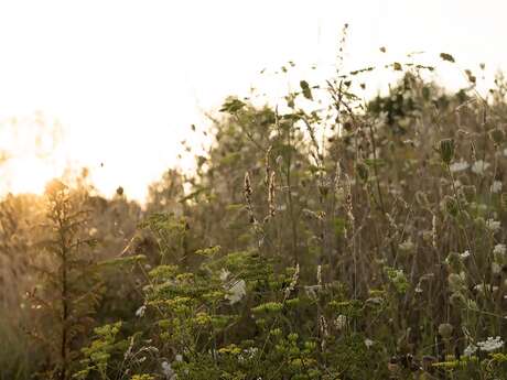 Héloïse Lefel Hodebourg - Photographe