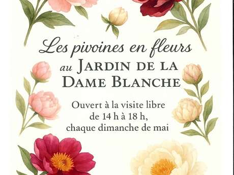 Visite libre du jardin de la Dame Blanche