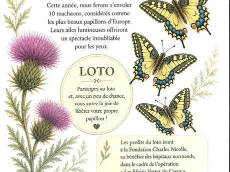 Loto