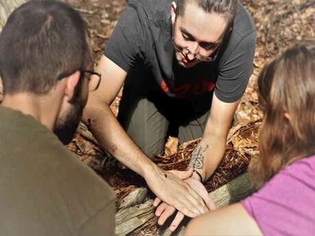 Cueillette et atelier de cuisine sur la Potion de sorcière