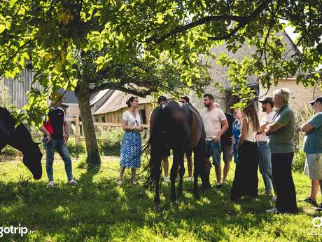 Les Ateliers du Mont Viné