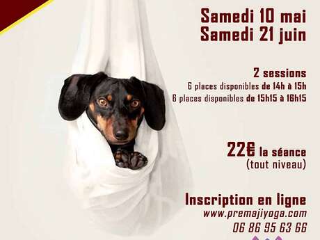 Yoga aérien