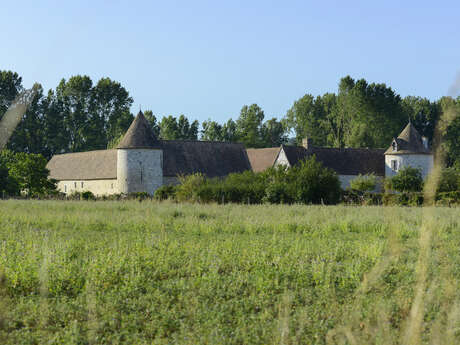 Parcours trail : Les Baskets de Pagnol Marcel (BPM)