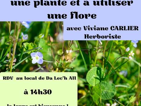 Sortie botanique