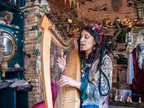 Spectacle de lectures musicales ( lecture, harpe celtique, chant ) à la Librairie-Café l'Autre Rive à Berrien.