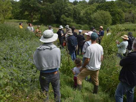 Fête de la nature à l'Ecolieu Kervillé