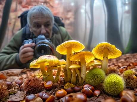 Expo-Vente photos : Bruno Dujardin à la Librairie-Café l'Autre Rive à Berrien.