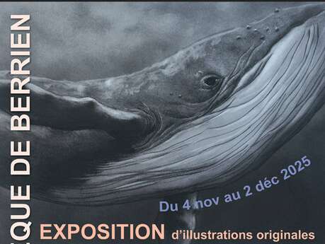 Exposition de Christelle Le Guen à la Médiathèque de Berrien.