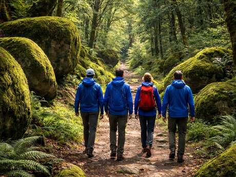 Sortie Marche à Huelgoat.