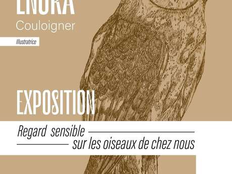 Exposition de Enora Couloignier "Regard Sensible sur les oiseaux de chez nous" à la médiathèque de Berrien.