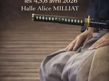 Stages d'arts martiaux traditionnels japonais