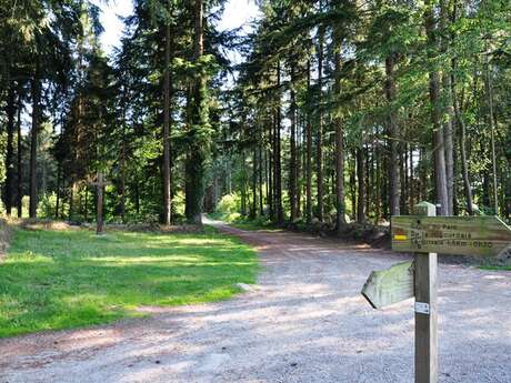 Circuit de La Croix de Pierre