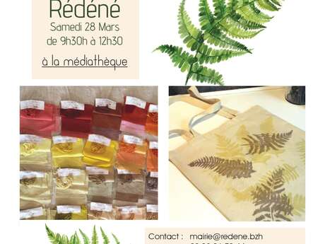 Atelier teinture végétale à Rédéné