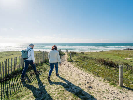à la découverte des insectes et des oiseaux des dunes de Trez Goarem