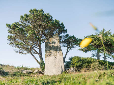 Menhir du Reun