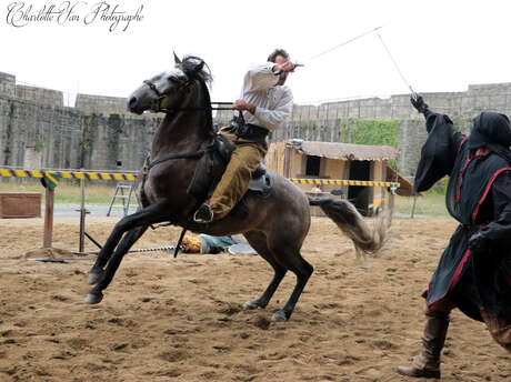 Spectacle équestre