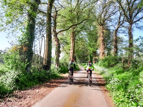 Boucle Tour par les ribines Gravel n°2