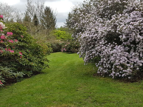 Découverte des jardins de Treuscoat