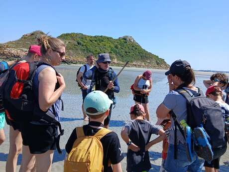 Découverte de la Baie du Mont-Saint-Michel